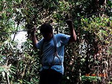 selva_extrema88.jpg
