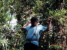 selva_extrema89.jpg