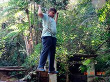 selva_extrema90.jpg