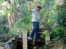 selva_extrema91.jpg