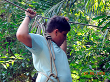 selva_extrema92.jpg