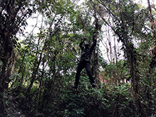 sp_106.jpg