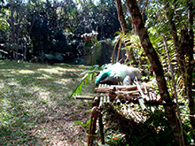 sp_126.jpg