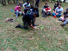 sp_154.jpg