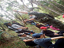 sp_185.jpg