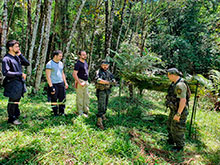 surubim_070.jpg
