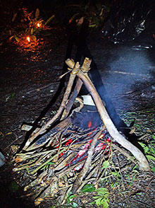 surubim_160.jpg