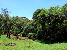 tapajos05.jpg