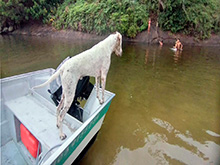 tormenta_205.jpg