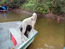 tormenta_208.jpg
