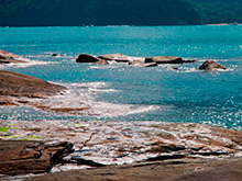 traineira_007.jpg