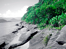 traineira_010.jpg