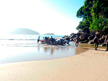 traineira_068.jpg