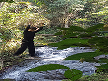 uirapuru128.jpg