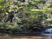 uirapuru139.jpg