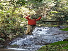 uirapuru58.jpg