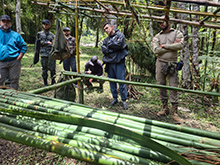 umariacu_074.jpg