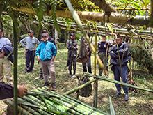 umariacu_076.jpg