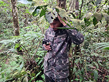 umariacu_109.jpg