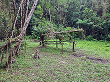 umariacu_119.jpg