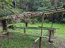 umariacu_122.jpg