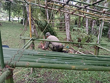 umariacu_178.jpg