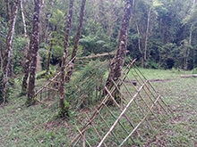 umariacu_185.jpg