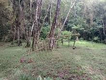 umariacu_187.jpg