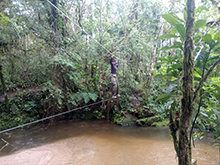 umariacu_239.jpg
