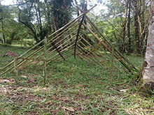 umariacu_247.jpg