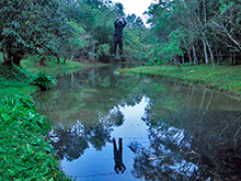 xingu101.jpg
