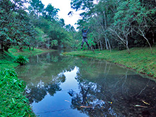 xingu103.jpg