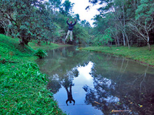 xingu105.jpg