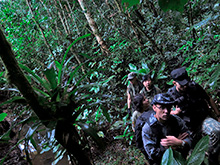 xingu16.jpg