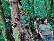 xingu19.jpg