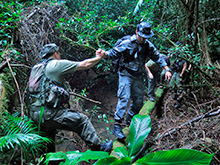 xingu20.jpg