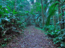 xingu31.jpg