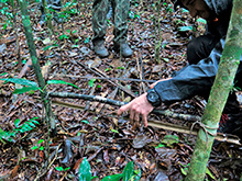 xingu54.jpg