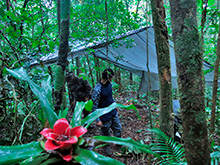 xingu72.jpg