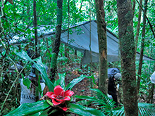 xingu74.jpg