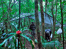 xingu75.jpg
