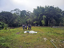 yaguarete_002.jpg