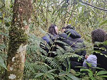 yaguarete_006.jpg
