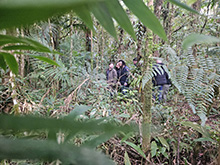 yaguarete_007.jpg