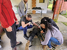 yaguarete_034.jpg