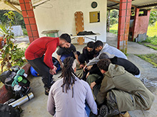 yaguarete_045.jpg