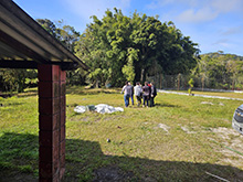 yaguarete_063.jpg