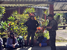 yaguarete_072.jpg