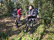 yaguarete_080.jpg