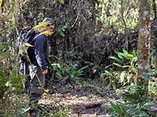 yaguarete_081.jpg